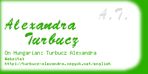 alexandra turbucz business card